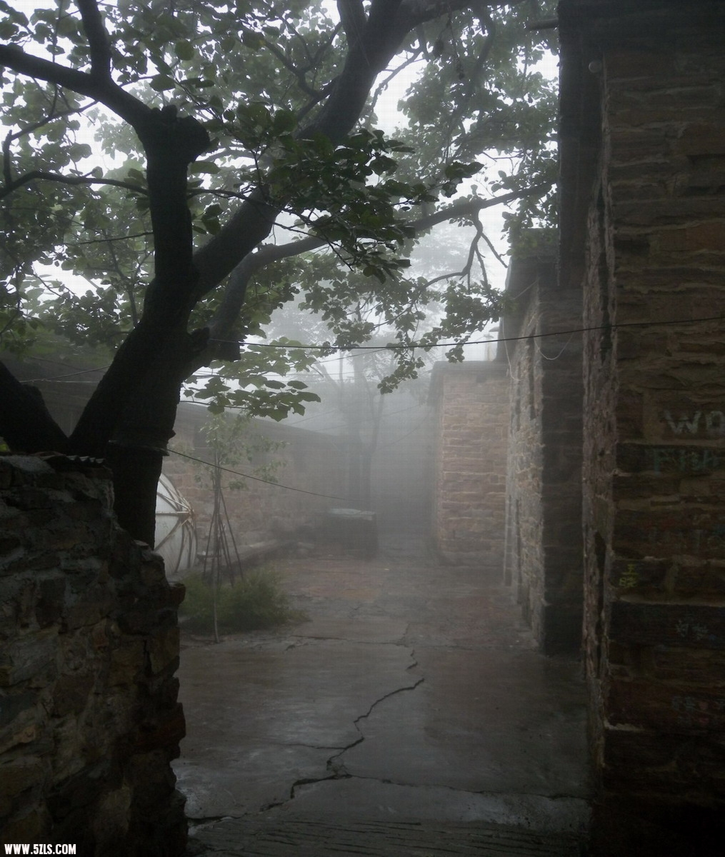 DSCN6803.JPG