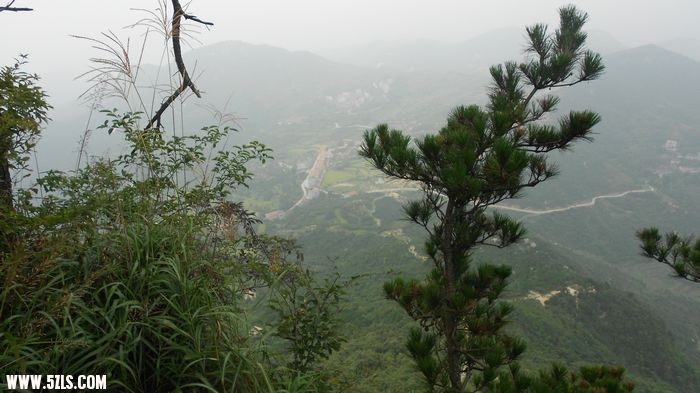 DSCN0716.jpg