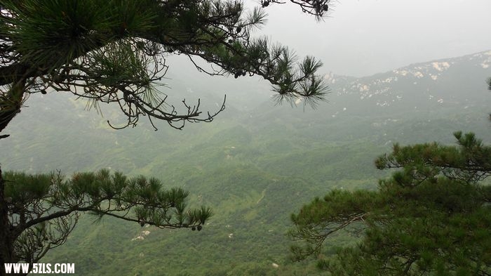 DSCN0731.jpg