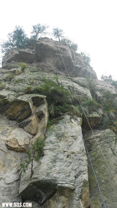 DSCN0735.jpg