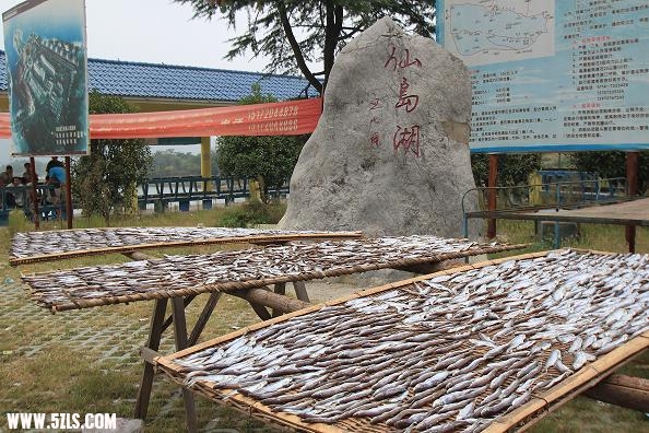 当地的小