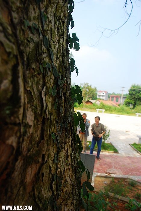 nEO_IMG_DSC_7664.jpg