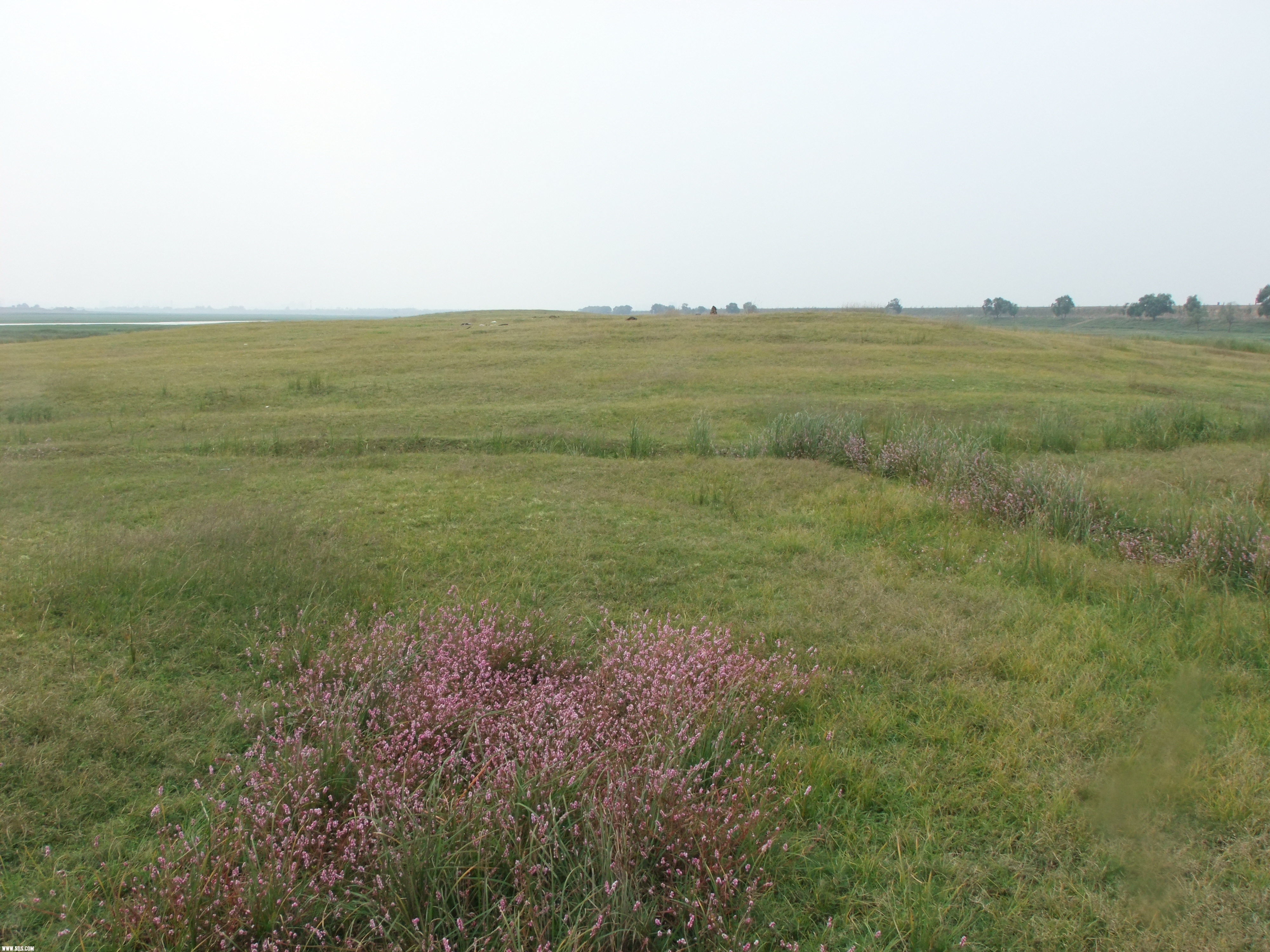 DSCF4741.JPG