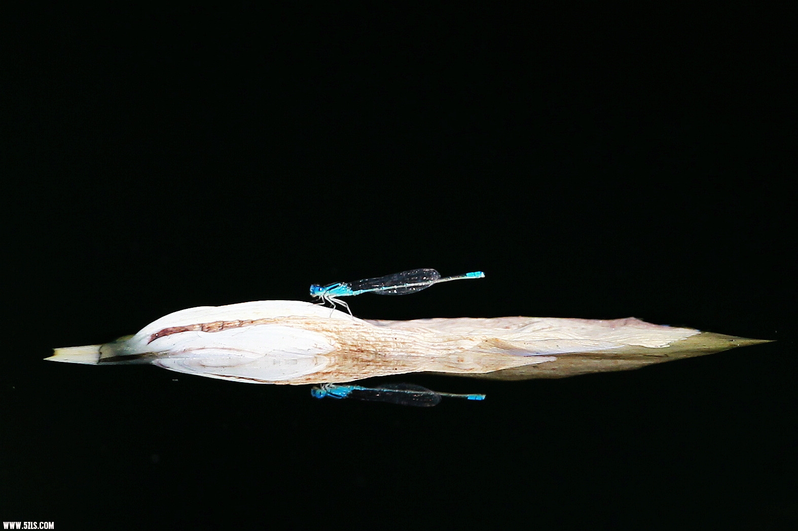 CB8Z1495.JPG