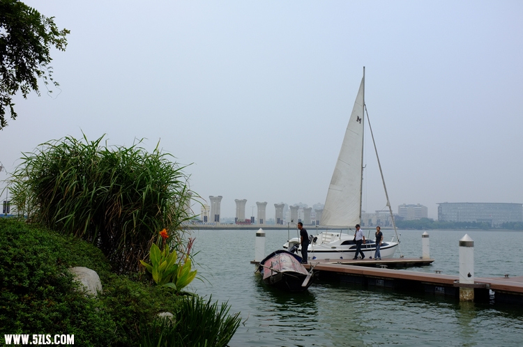 DSCF1651.jpg