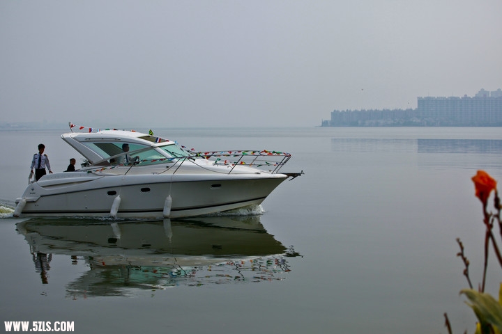 IMG_9981.jpg