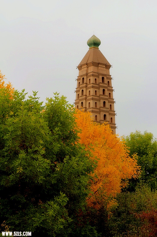 _MG_0320_.jpg