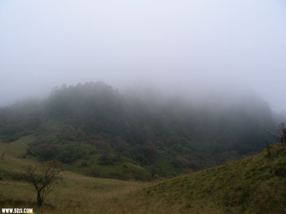 DSCN5464.jpg