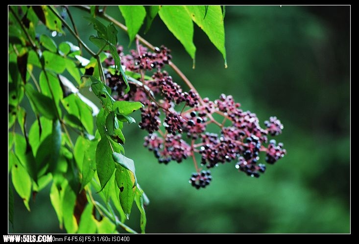 DSC_0193.jpg