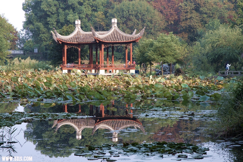 DSC_0888.jpg