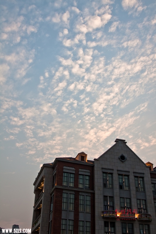 _MG_5035.jpg