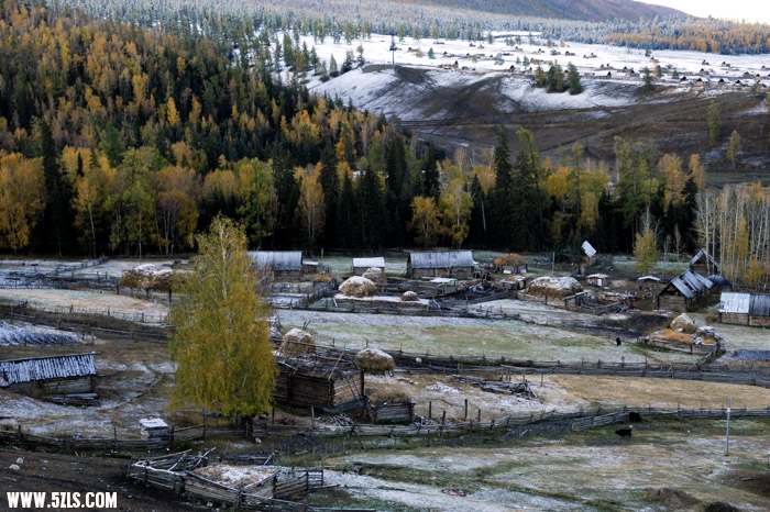 _4161006.JPG