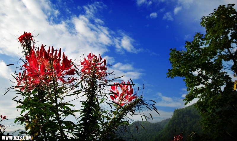 DSC_4037.jpg