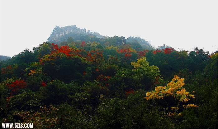 五龙河在峡谷秋色