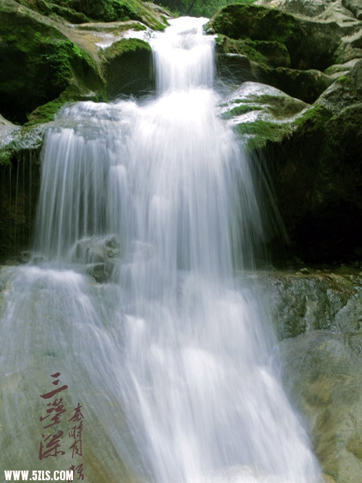 080626iii.jpg