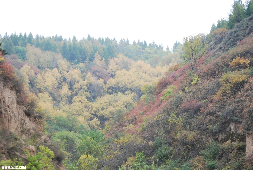 DSC_0191.JPG