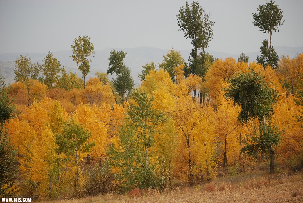 DSC_0214.JPG