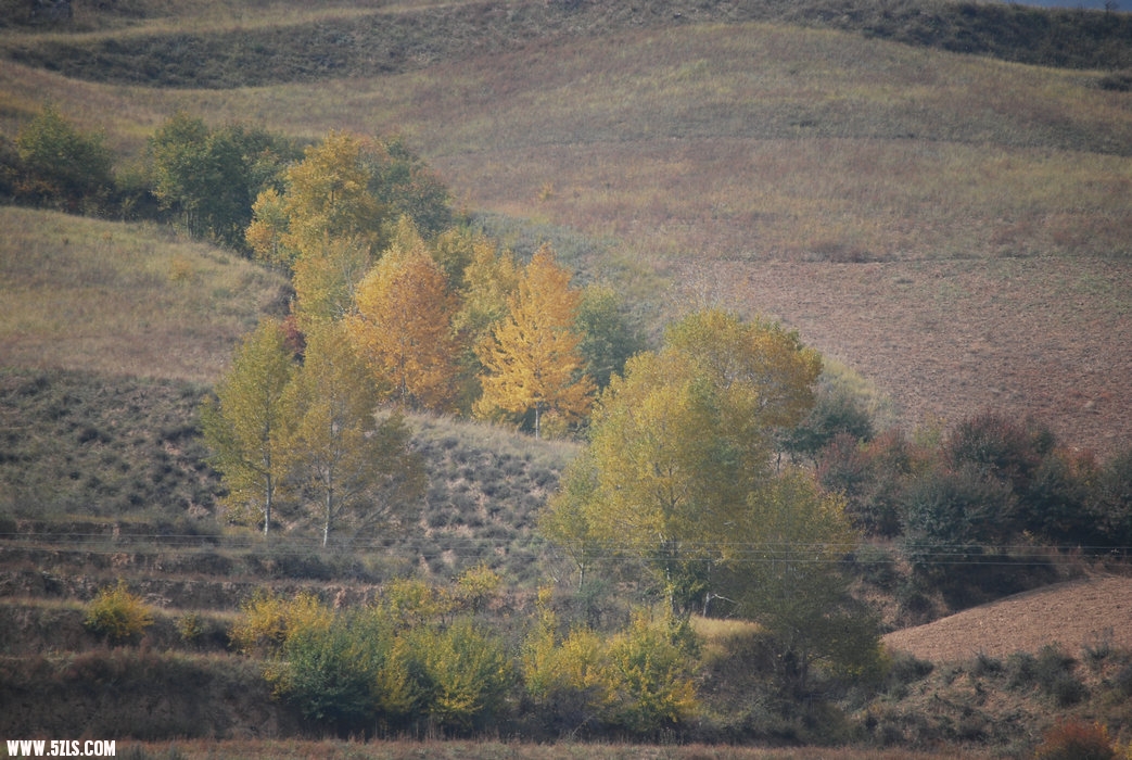 DSC_0200.JPG