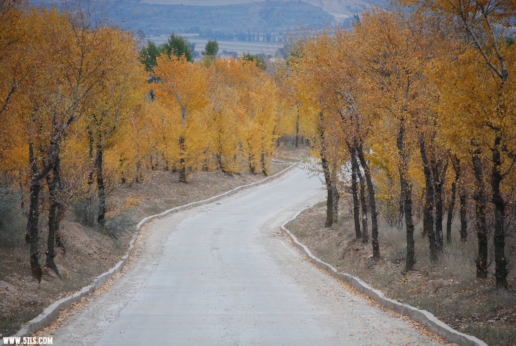 DSC_0230.JPG