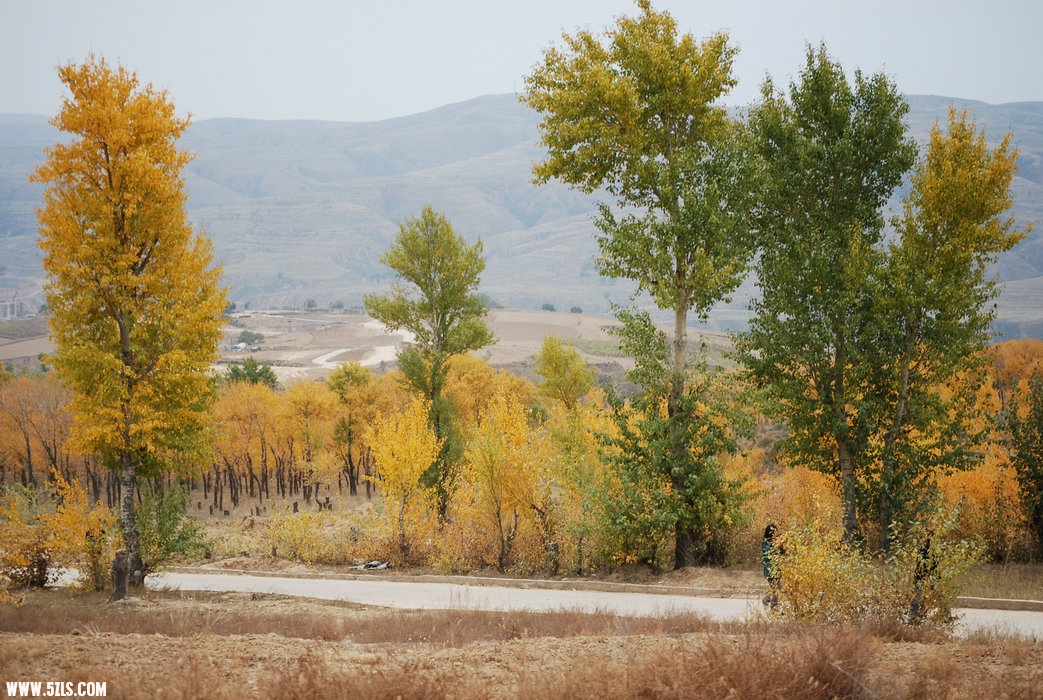 DSC_0232.JPG