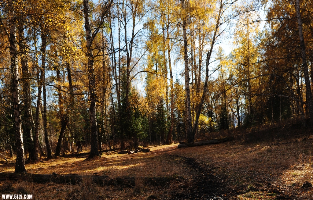 416_1609.JPG