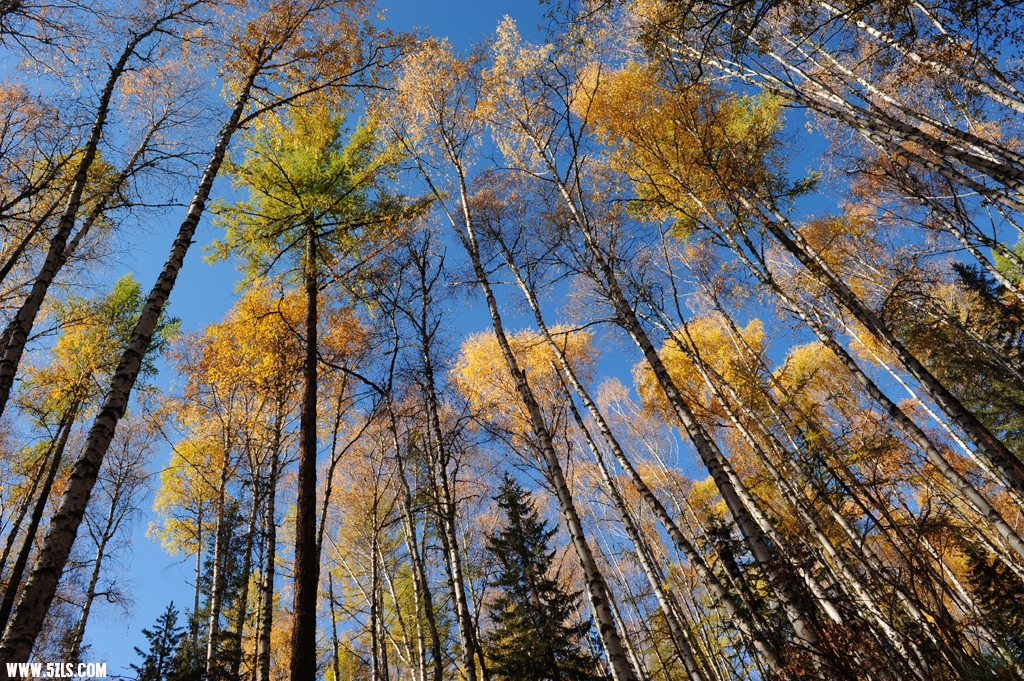416_1762.JPG