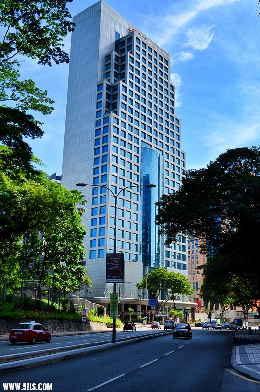 DSC_1255.jpg