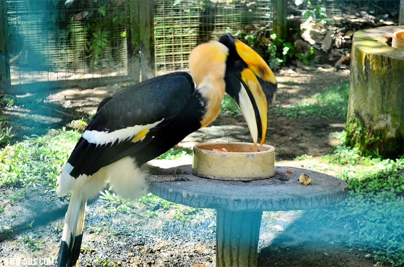 DSC_1398.jpg