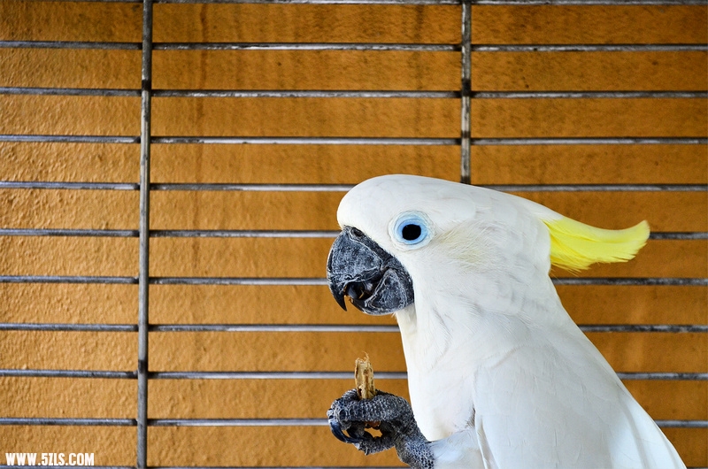 DSC_1413.jpg