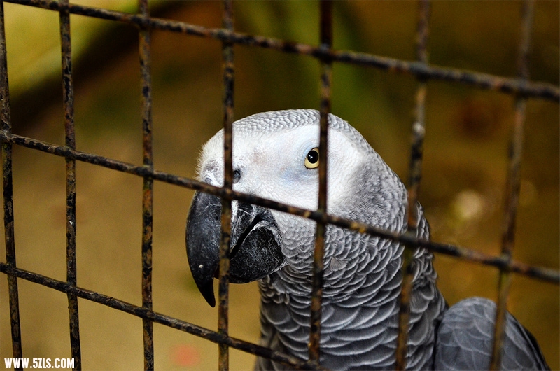 DSC_1415.jpg