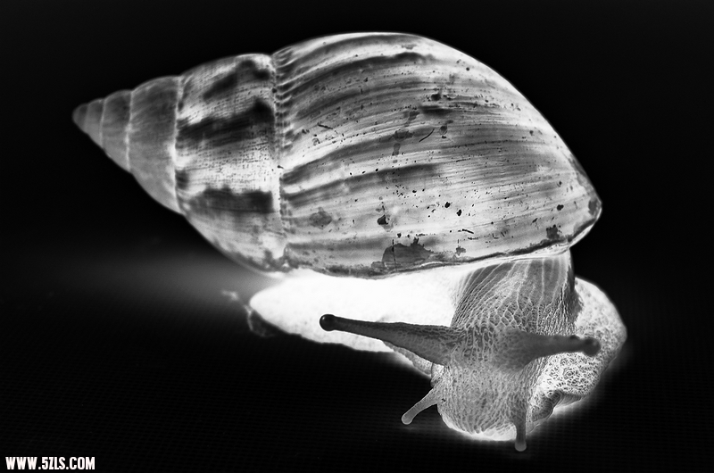DSC_1550.jpg