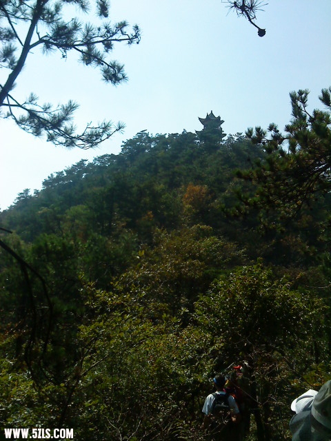 201110919205077297.jpg