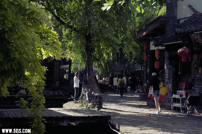DSC_5241.JPG