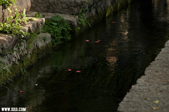 DSC_5247.JPG