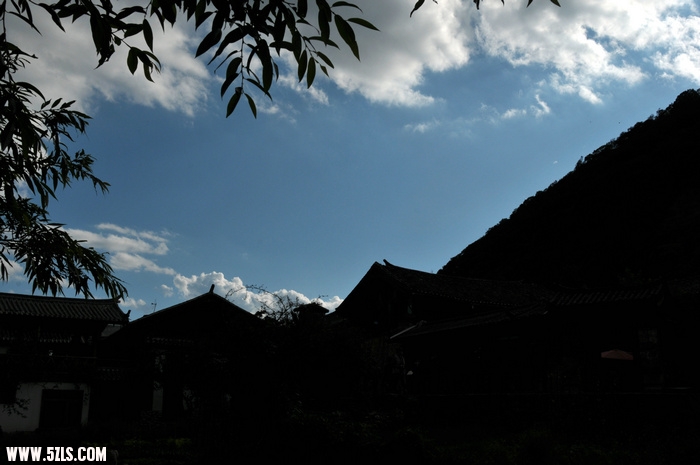 DSC_5251.JPG