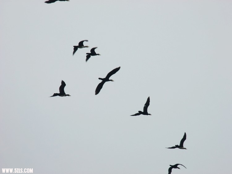 DSCF9989.jpg