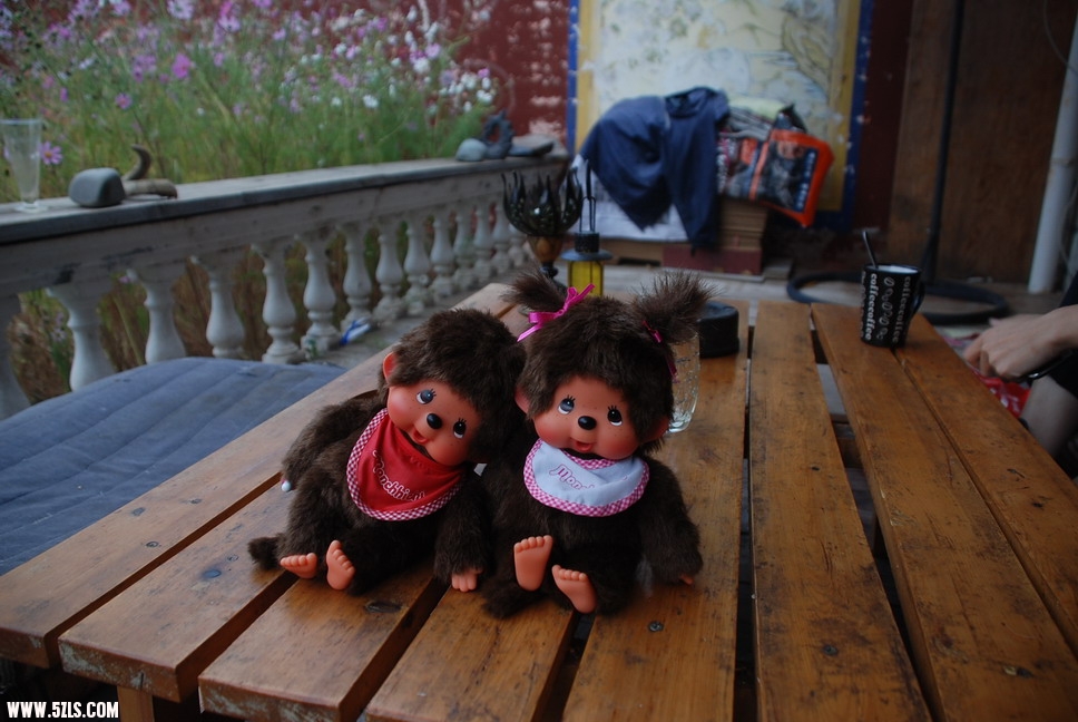 DSC_0062.JPG
