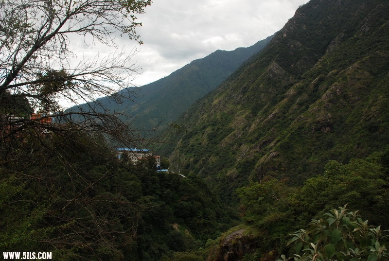 DSC_0270.JPG