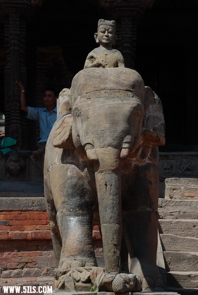 DSC_0350.JPG