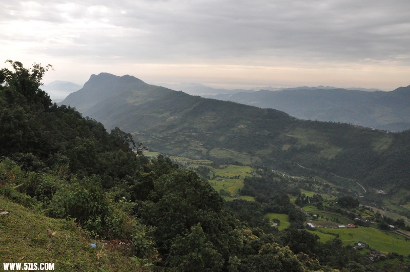 DSC_0485.JPG