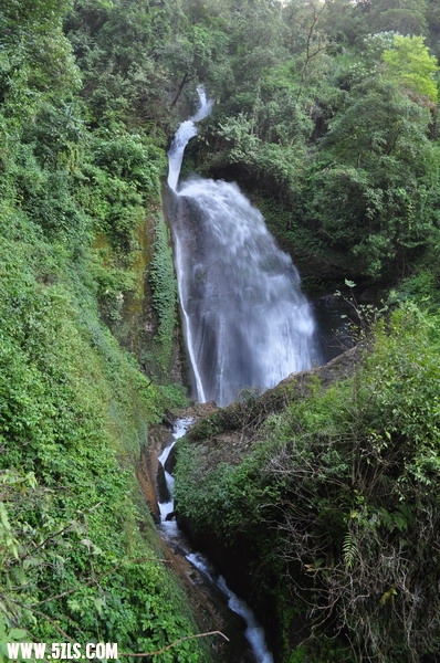 DSC_0135.JPG