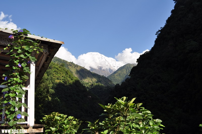 DSC_0158.JPG