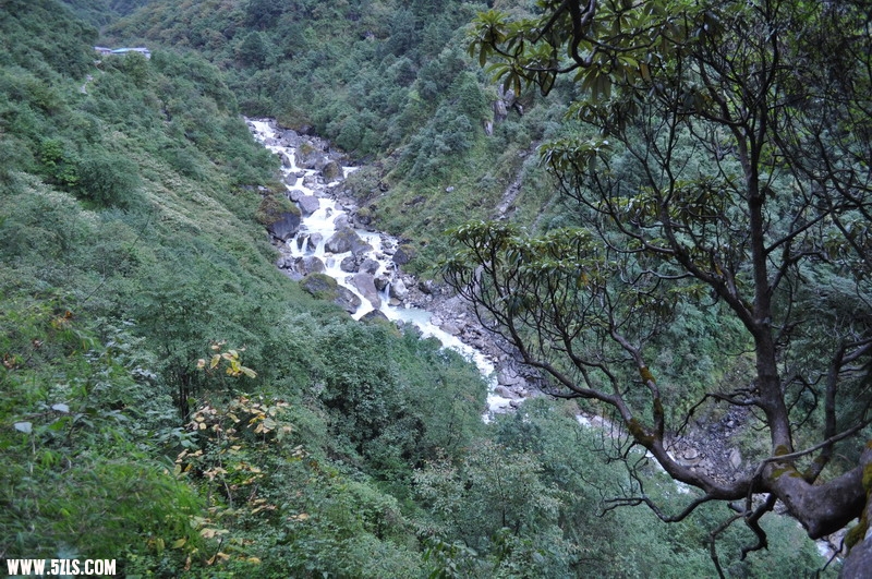 DSC_0213.JPG