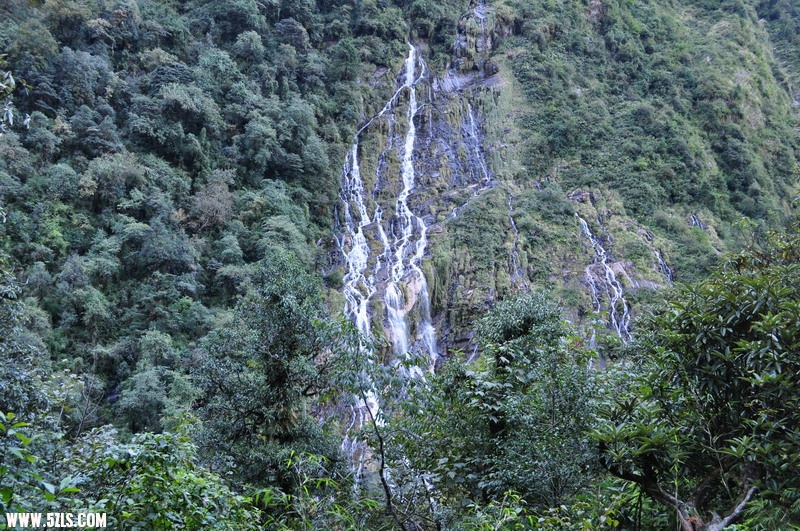 DSC_0208.JPG