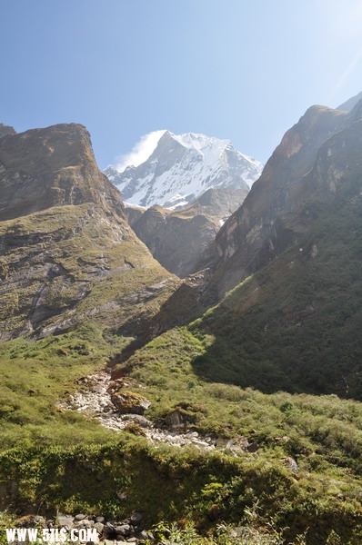 DSC_0262.JPG