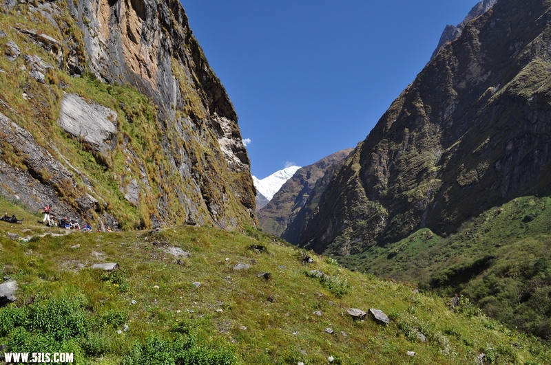 DSC_0264.JPG