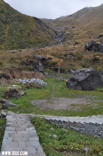 DSC_0297.JPG