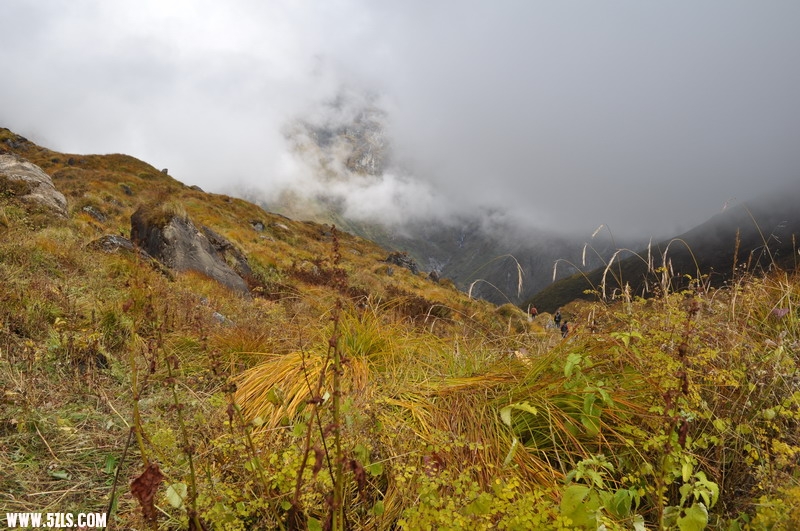 DSC_0302.JPG