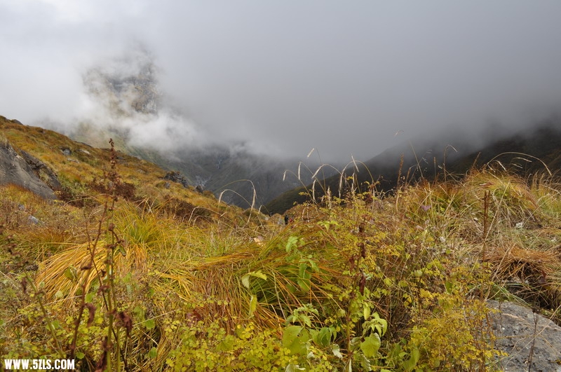 DSC_0303.JPG