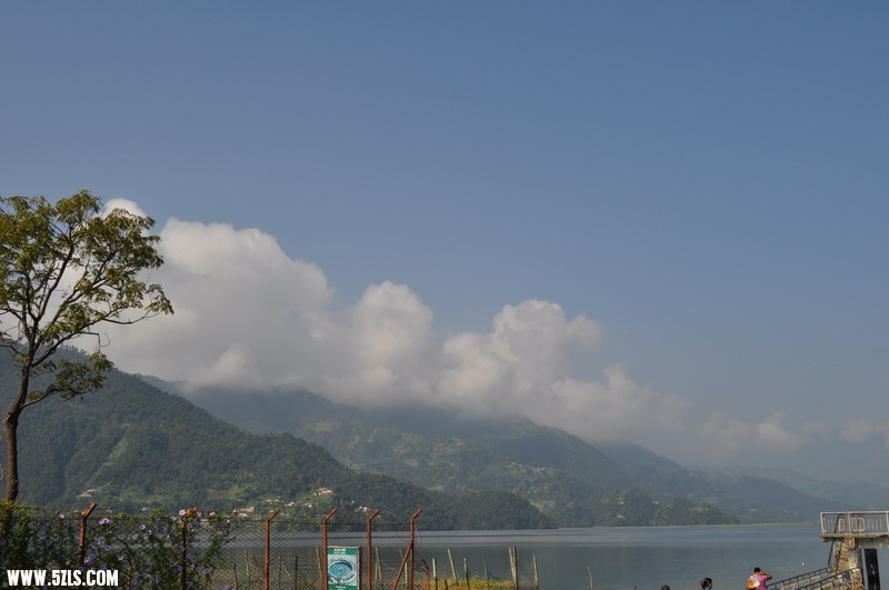 DSC_0520.JPG